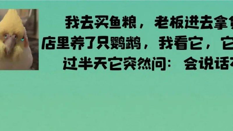 小标题：减脂期的饮食困惑